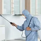 Business 1 image PEST CONTROL NGUNNAWAL Pest Control in Ngunnawal ACT