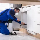 Business 2 image PEST CONTROL NICHOLLS Pest Control in Belconnen ACT