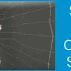 Business 4 image PEST CONTROL NINGI Pest Control in Ningi QLD