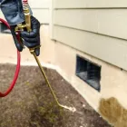 Business 2 image PEST CONTROL PERTH Pest Control in West Perth WA
