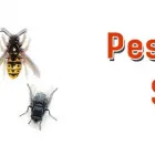 Business 1 image PEST CONTROL SYDNEY Pest Control in Sydney NSW