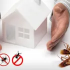 Business 3 image PEST INSPECTION BALLARAT Pest Management in Melbourne VIC