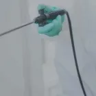 Business 3 image PEST INSPECTION HOBART Pest Control in Hobart TAS