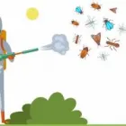 Business 1 image PEST MASTERS MELBOURNE Pest Management in Melbourne VIC