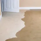 Business 7 image PETERS CLEANING - CARPET FLOOD WATER DAMAGE RESTORATIONS BRISBANE Carpet Cleaning & Protection in Brisbane QLD