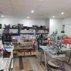Business 4 image PETS PALACE Pet Treats in Newtown NSW