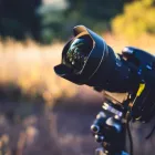 Business 1 image PHOTOGRAPHER PERTH Photographers in Perth WA