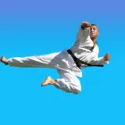 Business 1 image PINNACLE MARTIAL ARTS ACADEMY Taekwondo near me in Earlwood NSW