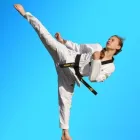 Business 2 image PINNACLE MARTIAL ARTS ACADEMY Taekwondo near me in Earlwood NSW