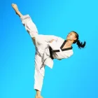 Business 3 image PINNACLE MARTIAL ARTS ACADEMY Taekwondo near me in Earlwood NSW