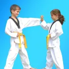 Business 14 image PINNACLE MARTIAL ARTS ACADEMY Taekwondo near me in Earlwood NSW