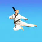 Business 16 image PINNACLE MARTIAL ARTS ACADEMY Taekwondo near me in Earlwood NSW