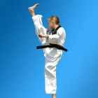 Business 17 image PINNACLE MARTIAL ARTS ACADEMY Taekwondo near me in Earlwood NSW