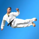 Business 18 image PINNACLE MARTIAL ARTS ACADEMY Taekwondo near me in Earlwood NSW