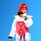 Business 19 image PINNACLE MARTIAL ARTS ACADEMY Taekwondo near me in Earlwood NSW