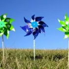 Business 1 image PINWHEEL PSYCHOLOGY Psychotherapists in Potts Point NSW