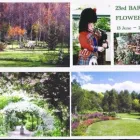 Business 4 image PIPERS OF DISTINCTION Weddings in St Clair NSW