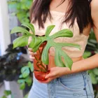 Business 9 image PLANT BY PACKWOOD Terrarium Plants in Fitzroy VIC