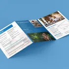 Business 20 image PLATINUM 99 PTY LTD - BRANDING AND WEBSITE DESIGN Website development and design Perth in Burswood WA