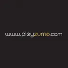 Business 44 image PLATINUM 99 PTY LTD - BRANDING AND WEBSITE DESIGN Website development and design Perth in Burswood WA