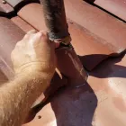 Business 3 image PLUMBER SURRY HILLS Plumbers & Gas Fitters in Surry Hills NSW