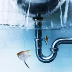 Business 2 image PLUMBING ST CLAIR Plumbers & Gas Fitters in St Clair NSW