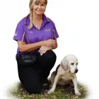 Business 1 image POSITIVE RESPONSE DOG TRAINING Private Consultations in Cleveland QLD