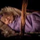 Business 1 image PRECIOUS TIMES PHOTOGRAPHY Wedding Photographer in Park Ridge QLD