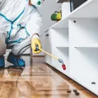 Business 1 image PREVENTIVE PEST CONTROL ADELAIDE quality pest control in Adelaide SA