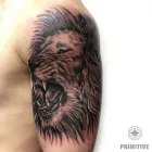 Business 1 image PRIMITIVE TATTOO Tattooist & Tattoo Shop in Perth WA