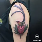Business 8 image PRIMITIVE TATTOO Tattooist & Tattoo Shop in Perth WA
