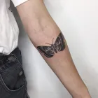 Business 13 image PRIMITIVE TATTOO Tattooist & Tattoo Shop in Perth WA