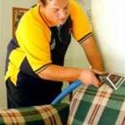 Business 1 image PRISTINE CARPET CLEANING MELBOURNE Carpet Cleaning & Protection in Templestowe Lower VIC