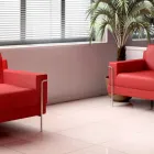 Business 2 image PRISTINE CARPET CLEANING MELBOURNE Carpet Cleaning & Protection in Templestowe Lower VIC