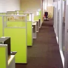 Business 4 image PRISTINE CARPET CLEANING MELBOURNE Carpet Cleaning & Protection in Templestowe Lower VIC