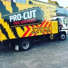 Business 1 image PRO-CUT TREE SERVICES Tree & Stump Removal Services in Ashwood VIC