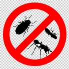 Business 2 image PROFESSIONAL PEST CONTROL HOBART Pest Control in Hobart TAS
