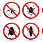Business 3 image PROFESSIONAL PEST CONTROL HOBART Pest Control in Hobart TAS