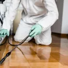 Business 7 image PROFESSIONAL PEST CONTROL MELBOURNE Pest Management in Melbourne VIC