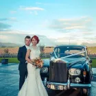 Business 4 image PROFESSIONAL PHOTOGRAPHER MELBOURNE - TREE PHOTO & VIDEO STUDIO Wedding Videography in South Melbourne VIC