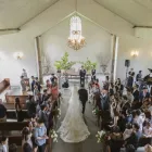 Business 10 image PROFESSIONAL PHOTOGRAPHER MELBOURNE - TREE PHOTO & VIDEO STUDIO Wedding Videography in South Melbourne VIC