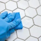 Business 1 image PROFESSIONAL TILE AND GROUT CLEANING ADELAIDE Wall & Floor Tilers in Adelaide SA