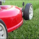 Business 1 image QUAD SERVICES CLEANING Cleaning Services in Artarmon NSW