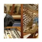 Business 3 image RAMP RFID SOLUTIONS Vehicle Tracking in Alexandria NSW