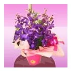 Business 4 image RAPID FLOWERS Gift Shops in Melbourne VIC