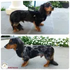 Business 2 image RATTY TO REGAL Ratty to Regal in Bicton WA