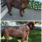 Business 5 image RATTY TO REGAL Ratty to Regal in Bicton WA