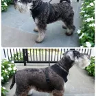 Business 7 image RATTY TO REGAL Ratty to Regal in Bicton WA