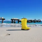 Business 1 image RAY WHITE JURIEN BAY Real Estate Services in Jurien Bay WA