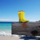 Business 2 image RAY WHITE JURIEN BAY Real Estate Services in Jurien Bay WA